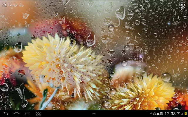 Autumn Flowers Live Wallpaper android App screenshot 3