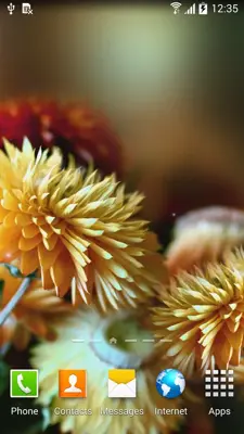 Autumn Flowers Live Wallpaper android App screenshot 7